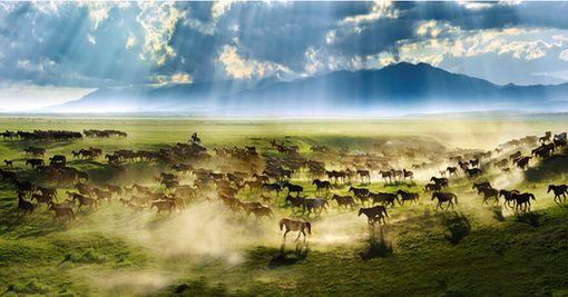 新疆舉辦旅游日活動促文旅消費 授牌13家4A級景區(qū)