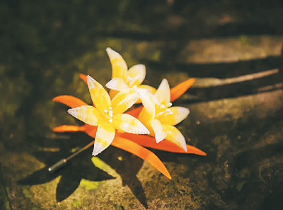 20200604153411262.jpg 1591122686627_1.jpg