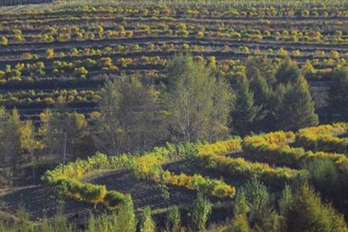 黑龍江省出臺水土保持生態(tài)產(chǎn)品價值核算指南