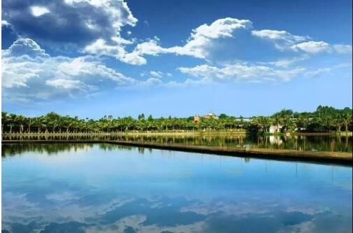 請(qǐng)查收！2021年的藍(lán)天碧水成績(jī)單“出爐”