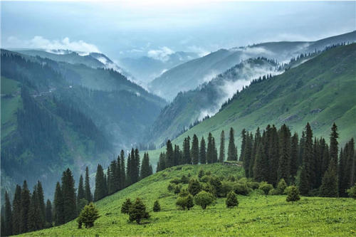 我國(guó)90%的重要生態(tài)系統(tǒng)類型和74%的野生動(dòng)植物得到了保護(hù)