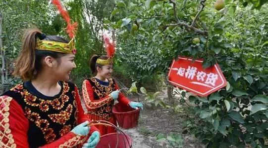 新疆:多點(diǎn)發(fā)力推動消費(fèi)扶貧