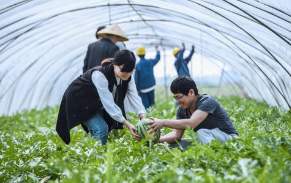 農業(yè)農村部出臺加強高技能人才工作意見