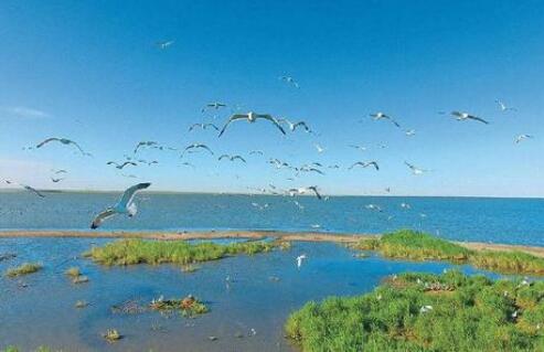 內(nèi)蒙古出臺(tái)條例為生態(tài)環(huán)境保護(hù)提供法治保障