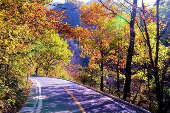 文旅部推出128條鄉(xiāng)村旅游精品線(xiàn)路