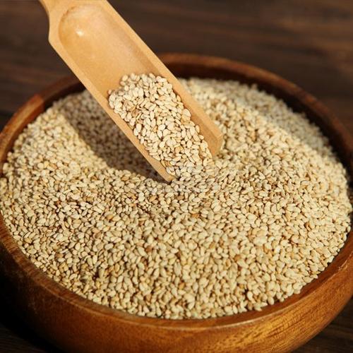 種業(yè)概況 | 未來，誰將成為最后的種業(yè)巨頭？