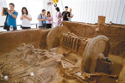 西周第一豪車青銅輪牙馬車重現(xiàn)