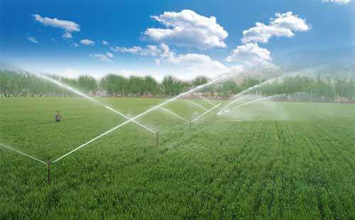 向農(nóng)業(yè)強國進發(fā)——專訪中央農(nóng)辦主任、農(nóng)業(yè)農(nóng)村部部長唐仁健