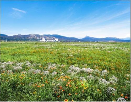 鄭州發(fā)布方案，今年要建成17個(gè)“無廢公園”，市內(nèi)多區(qū)已經(jīng)確定公園選址