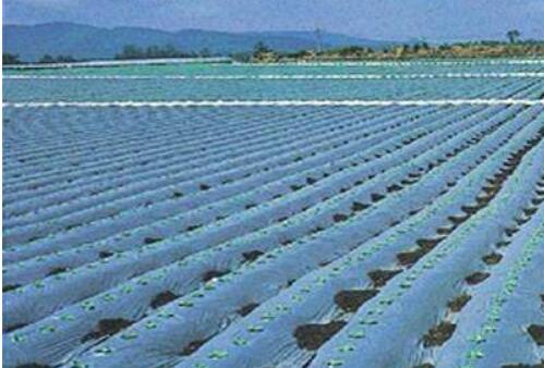 膜產(chǎn)業(yè)：中國特色創(chuàng)新體系初步形成