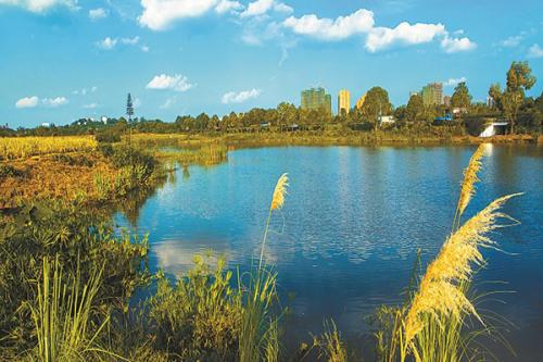 科技賦能、精準(zhǔn)治理 我國(guó)將繼續(xù)夯實(shí)美麗中國(guó)生態(tài)根基