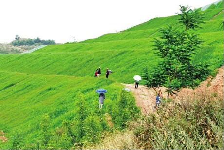 自然資源部：不得將工程建設(shè)等“包裝”為生態(tài)修復(fù)項目