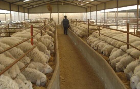 河南15條措施加快畜牧業(yè)轉(zhuǎn)型發(fā)展