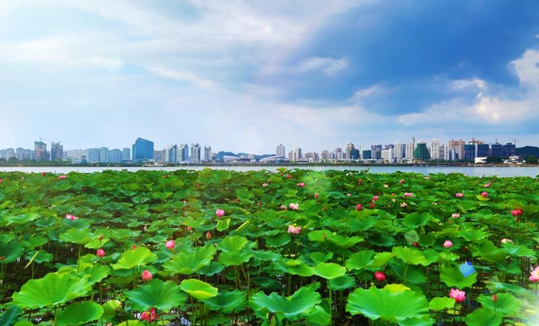 2020中國(guó)休閑度假大會(huì)召開(kāi) 推動(dòng)產(chǎn)業(yè)發(fā)展助力旅游復(fù)工復(fù)產(chǎn)