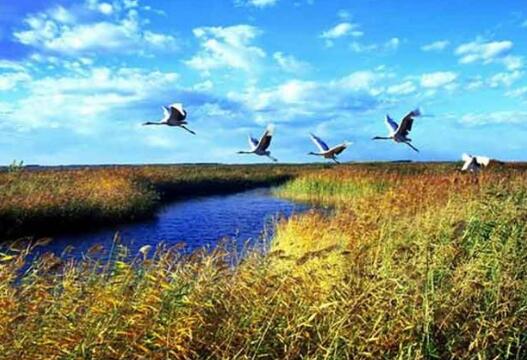 我國(guó)新型自然保護(hù)地體系初步建成