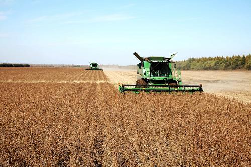 定制農(nóng)業(yè)勢頭強(qiáng)勁 資金焦慮等挑戰(zhàn)仍存——“中國糧倉”新觀察