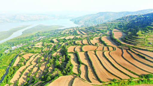 生態(tài)環(huán)境部發(fā)布管理辦法 對八類生態(tài)環(huán)境違法案件可以掛牌督辦