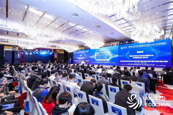 自主創(chuàng)新助力顯示產(chǎn)業(yè)生態(tài)重構(gòu)！第四屆金水湖論壇暨AMOLED生態(tài)鏈峰會(huì)圓滿落幕！