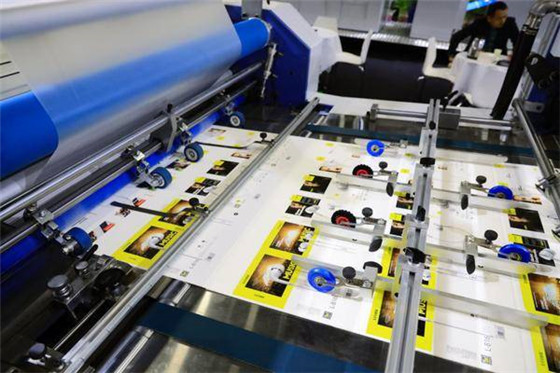 20201026160642990.jpg 4.jpg