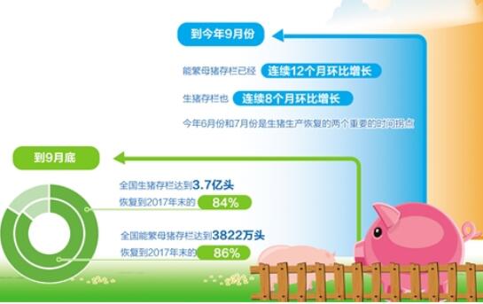 生豬產(chǎn)量持續(xù)恢復(fù) 產(chǎn)業(yè)轉(zhuǎn)型壓力猶存