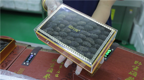 這片海海參：純正好參，只為健康