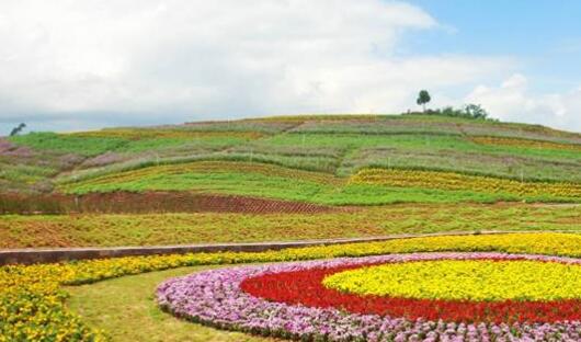 2022年全國(guó)休閑農(nóng)業(yè)重點(diǎn)縣名單公布