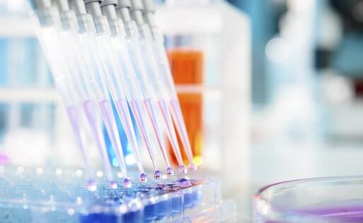 全鏈條 多維度  多地積極布局生物醫(yī)藥產(chǎn)業(yè)