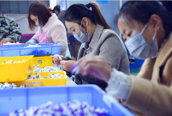 我國城鎮(zhèn)就業(yè)占比提高到62.7% 新經(jīng)濟(jì)帶動(dòng)就業(yè)效應(yīng)顯著