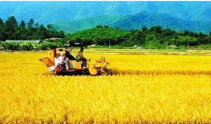 繼續(xù)加強高標(biāo)準農(nóng)田建設(shè) 讓每一寸耕地都成為豐收沃土