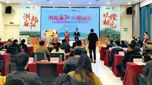 潮起麻陽(yáng) 以橙相見(jiàn) 2020年麻陽(yáng)冰糖橙長(zhǎng)沙產(chǎn)銷對(duì)接會(huì)舉行
