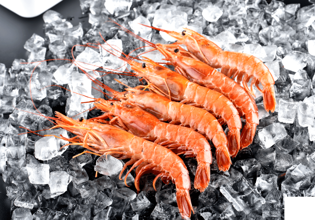 全國進(jìn)口冷鏈?zhǔn)称纷匪莨芾砥脚_上線運行