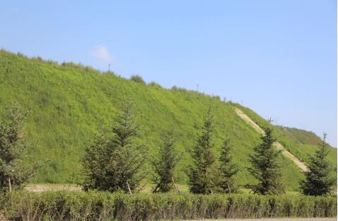 內(nèi)蒙古再度被評(píng)為全國(guó)林長(zhǎng)制督查考核優(yōu)秀等次