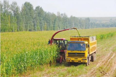 雙輪驅動加快建設農(nóng)業(yè)強國