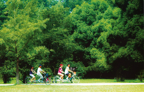 消費(fèi)結(jié)構(gòu)升級(jí)趨勢持續(xù) 主動(dòng)健康消費(fèi)正在成為居民消費(fèi)新增長點(diǎn)