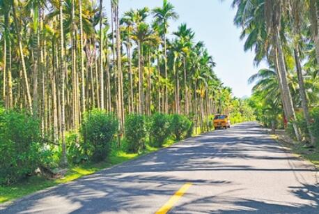 司法部、交通運輸部負責人就《農村公路條例》答記者問
