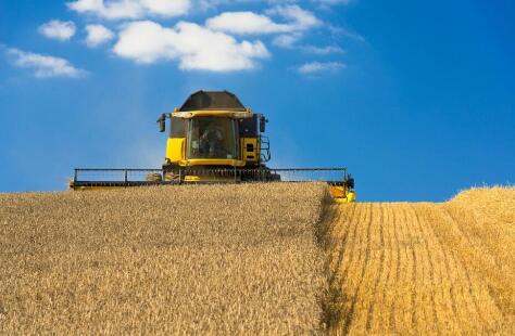 新一輪千億斤糧食產能提升行動啟動實施——拓展糧食增產新空間
