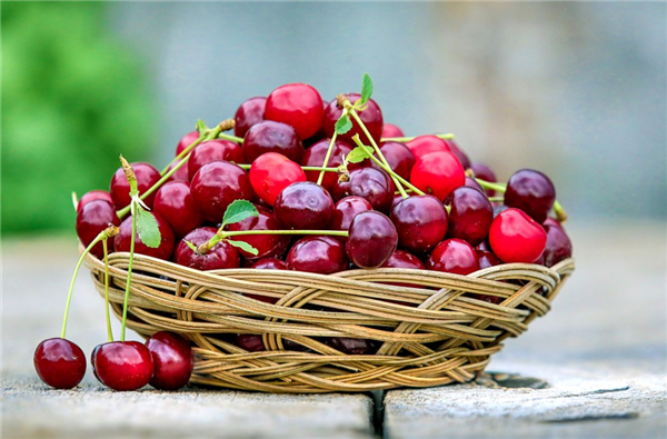 吳尊友回應車厘子等進口水果怎么吃：注意手衛(wèi)生、吃前流水清洗