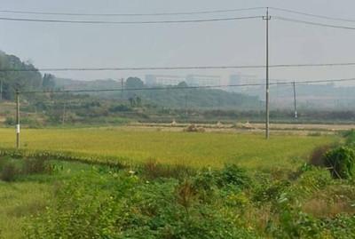 河南19個(gè)國(guó)家級(jí)全域土地綜合整治試點(diǎn)開工