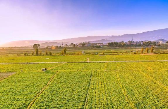 四川耕地林地園地空間治理“—張圖”建設(shè)全面鋪開(kāi)