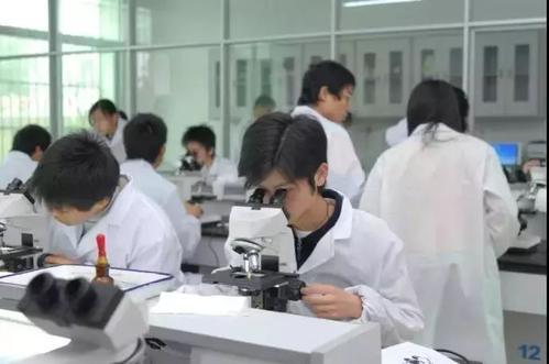 一體推進(jìn)教育科技人才發(fā)展 北京加緊培育壯大新動能