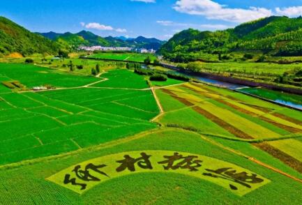 政府工作報告提出：全面實施鄉(xiāng)村振興戰(zhàn)略,促進(jìn)農(nóng)業(yè)穩(wěn)定發(fā)展和農(nóng)民增收