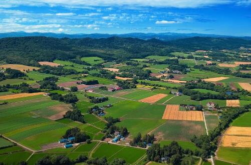 紹興：一座文化名城的“文化擔當”