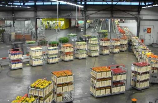 統(tǒng)一大市場的現(xiàn)代流通網(wǎng)絡(luò)怎么建？專家來支招