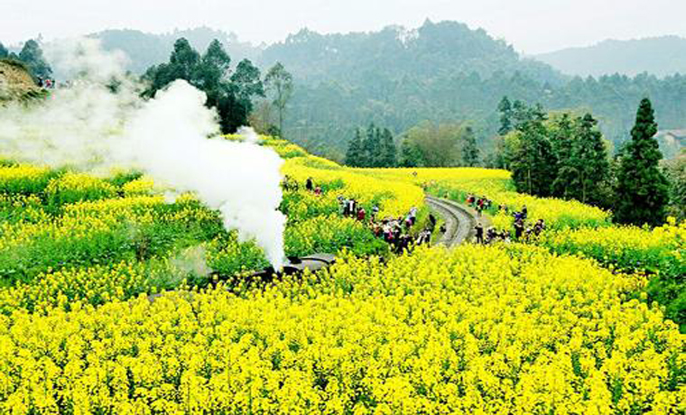 賞花、踏青、觀鳥 春游天府別樣美
