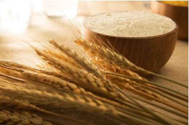 力推更多優(yōu)質(zhì)糧走上百姓餐桌