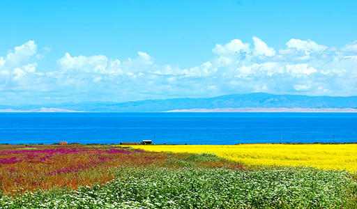 生態(tài)游要“流量”更要“留量”