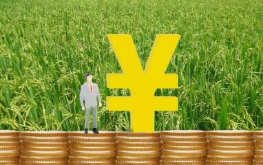 中央財政下達(dá)資金100億元，支持春耕生產(chǎn)