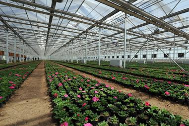 科技助力，農(nóng)業(yè)發(fā)展更有活力