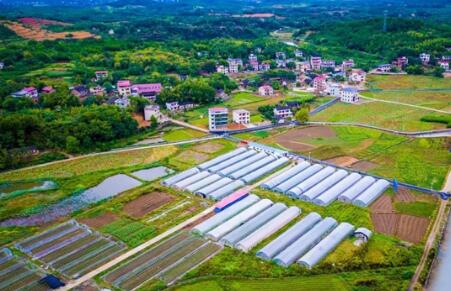 鄉(xiāng)村產(chǎn)業(yè)高質(zhì)量發(fā)展取得積極成效