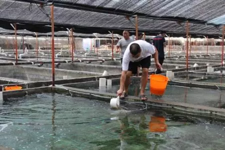 農(nóng)業(yè)農(nóng)村部：推進(jìn)水產(chǎn)種質(zhì)資源保護(hù)區(qū)優(yōu)化整治